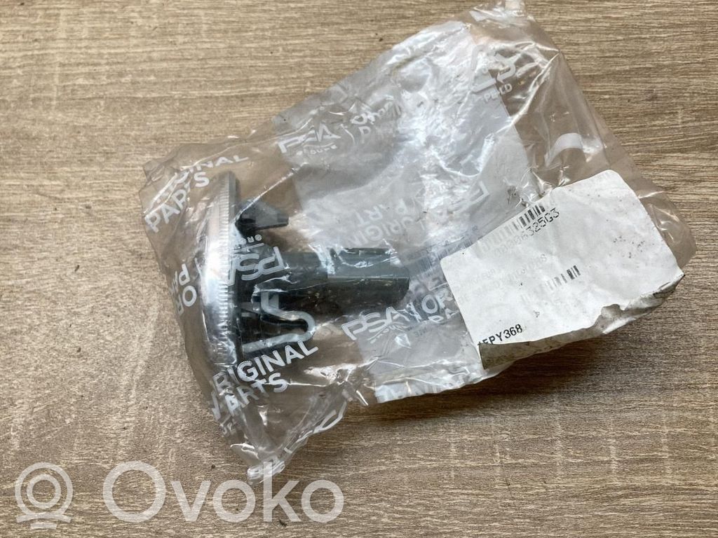 Peugeot 107 Seitenblinker 