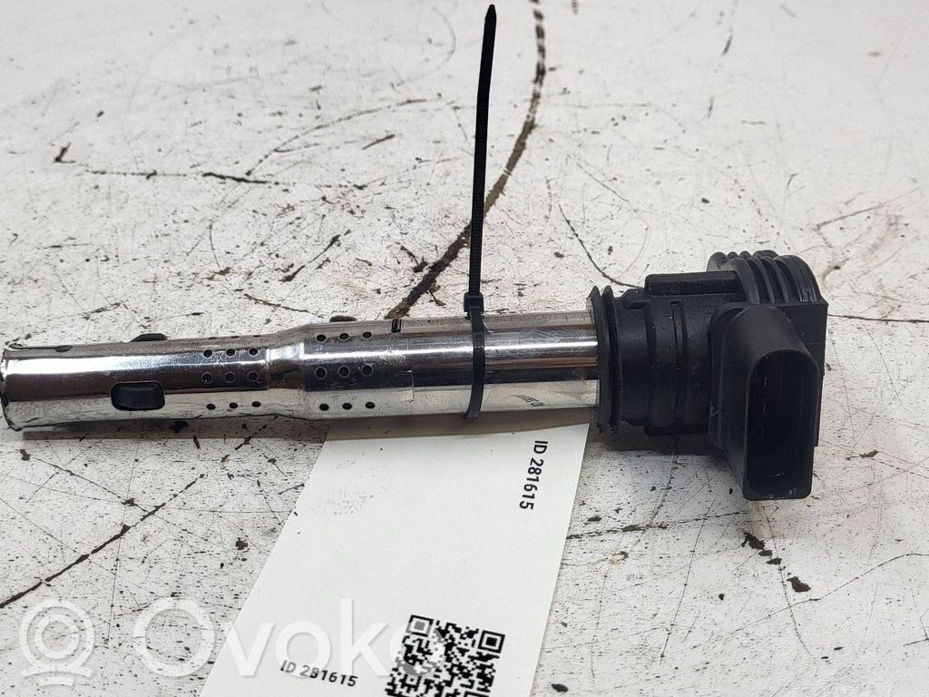 Audi A4 S4 B7 8E 8H Zündspule Zündmodul
