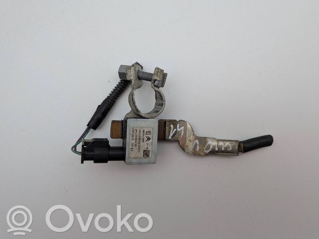 Peugeot 208 I Cavo negativo messa a terra (batteria)