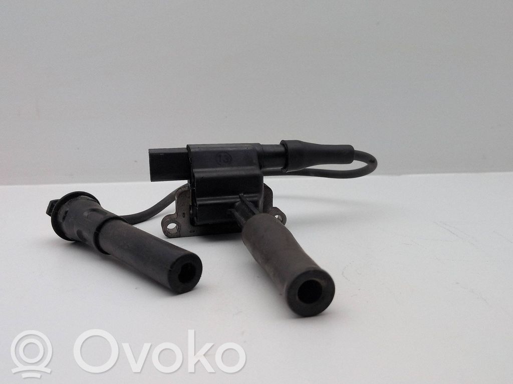 Land Rover Freelander Bobină aprindere 