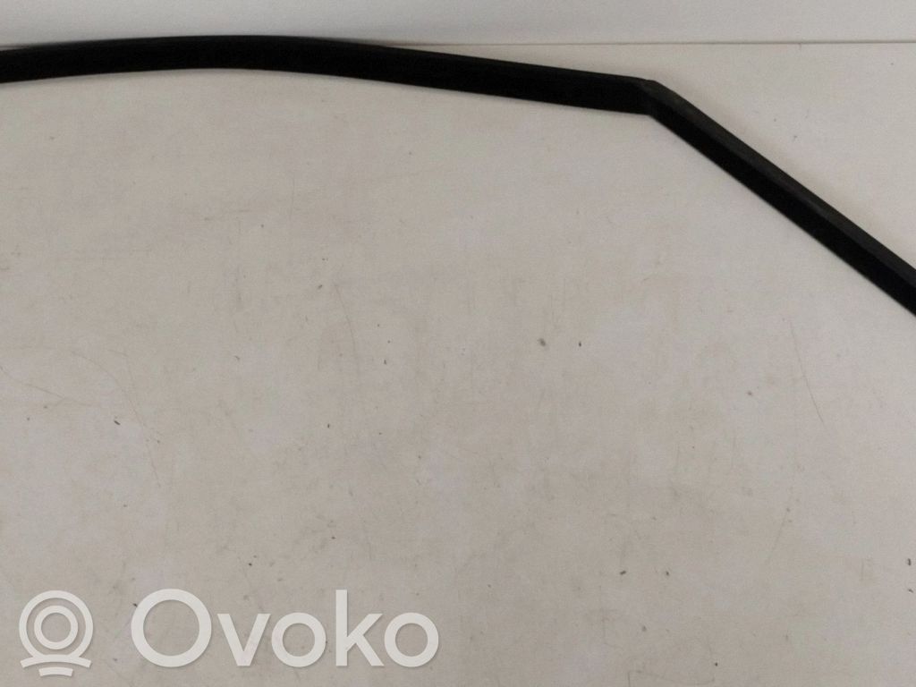 BMW X5 E70 Guarnizione in gomma finestrino/vetro portiera anteriore 