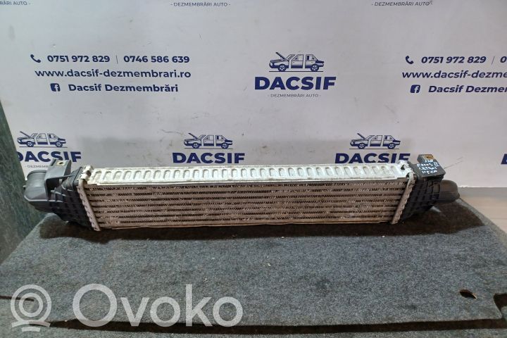 Refroidisseur intermédiaire   18TDCI3M5H9L440AE