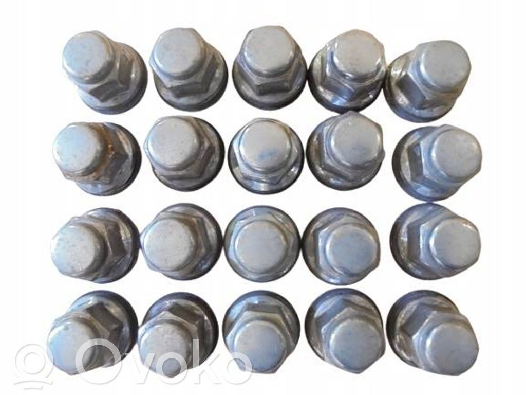 Nuts/bolts