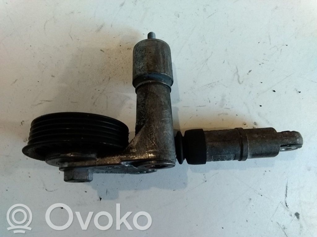 Audi A4 S4 B6 8E 8H Întinzător curea alternator 