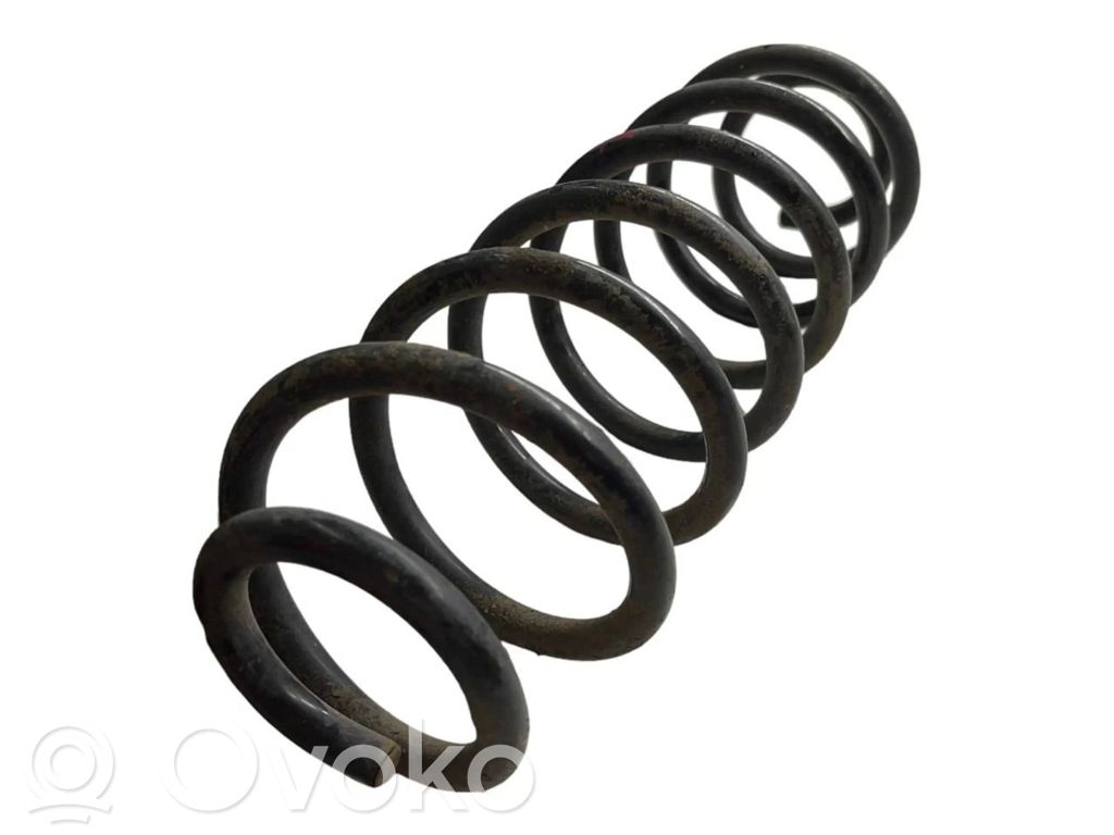 Rear coil spring