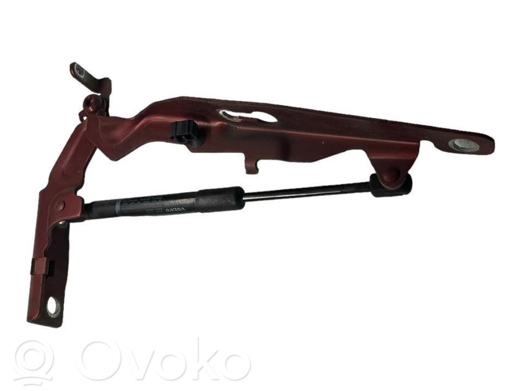Engine bonnet/hood hinges   AA8SAUK