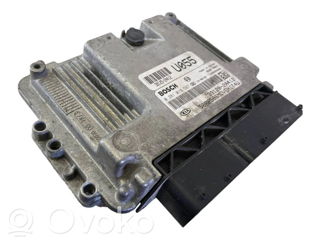 Engine control unit/module   0281019597,391202A412,391252A412,1039S65030