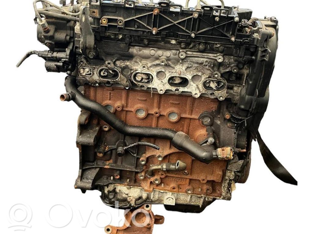 Variklis   AV4Q6007DB,D4204T,6906275