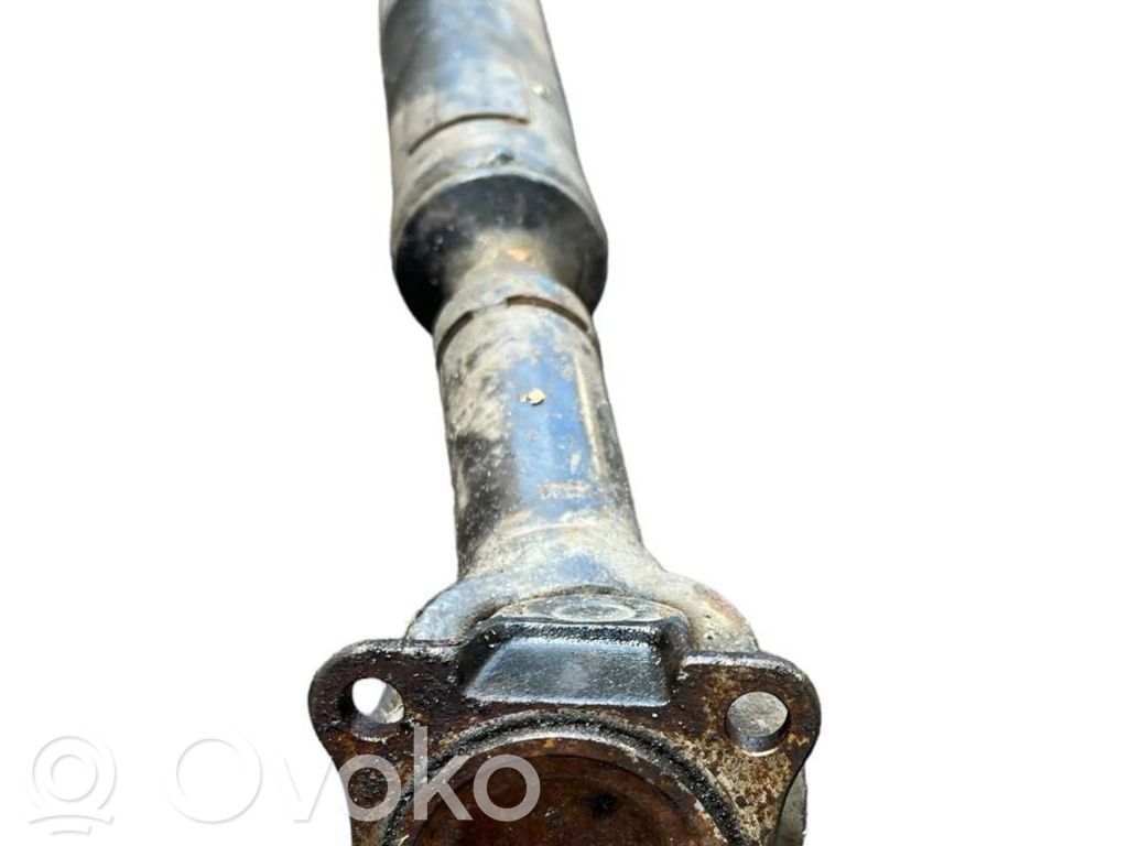 Eje propulsor delantero   491003E110