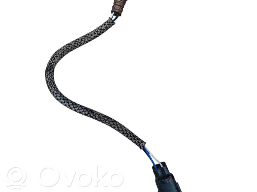 Sonda lambda   31480394,76208714