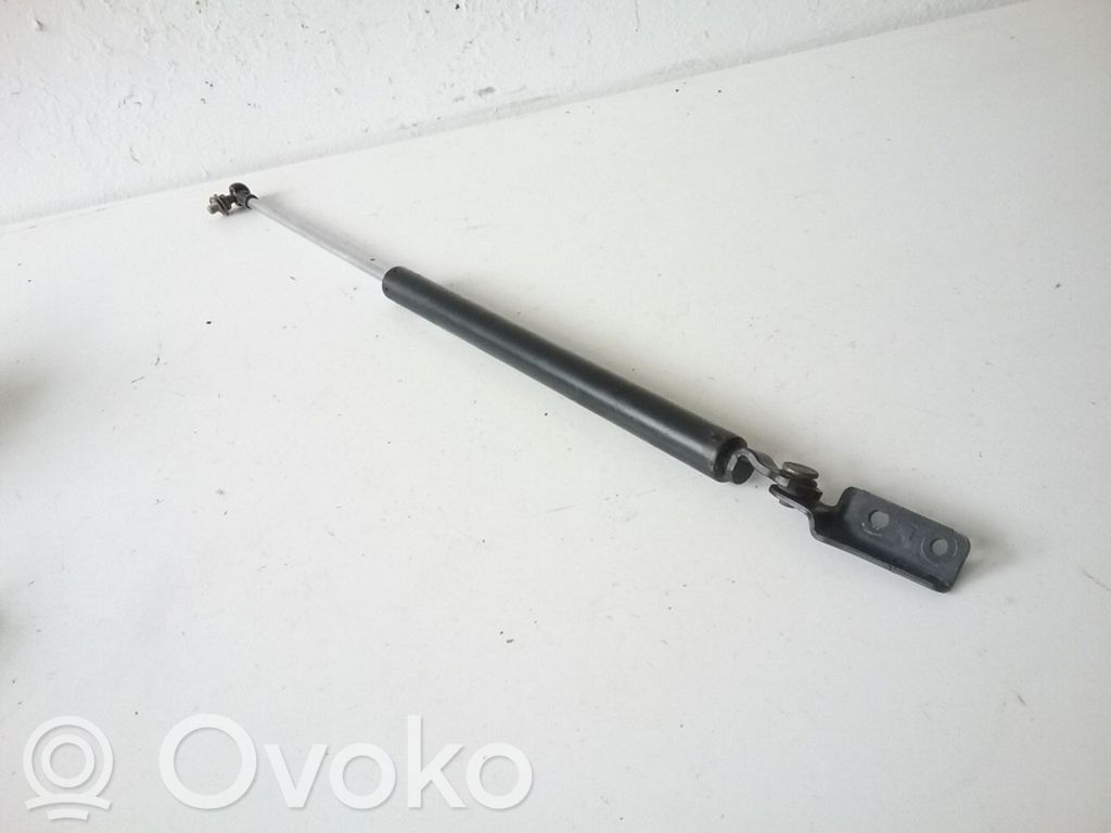 Tailgate/trunk strut/damper