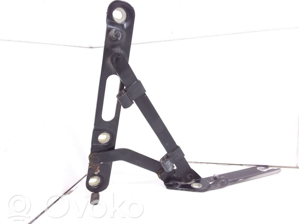 Tailgate/trunk/boot hinge