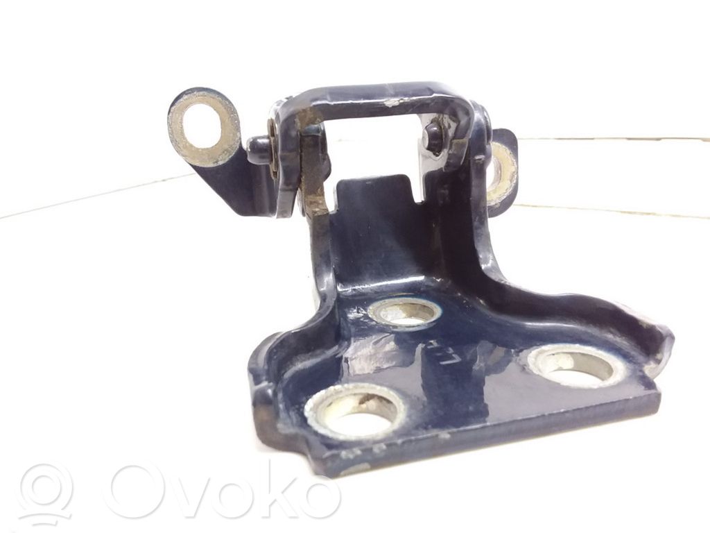 Rear door lower hinge