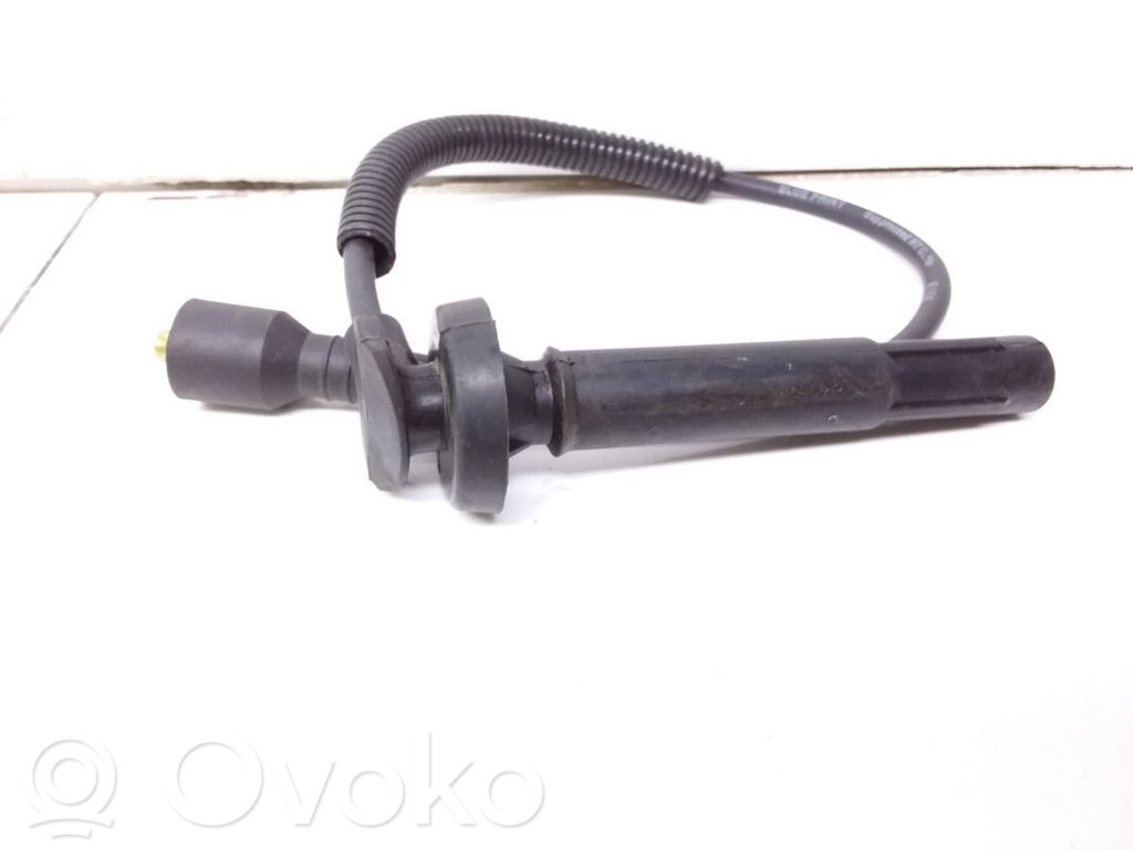 Ignition plug leads
