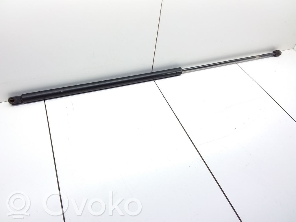 Tailgate/trunk strut/damper