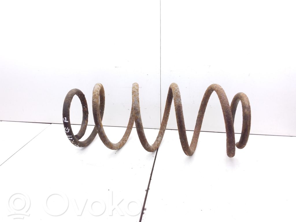 Front coil spring