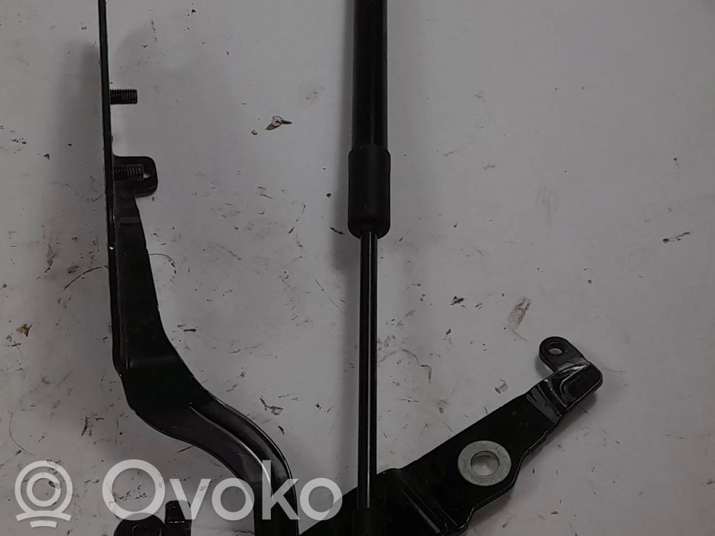 Audi A5 Tailgate/trunk/boot hinge 