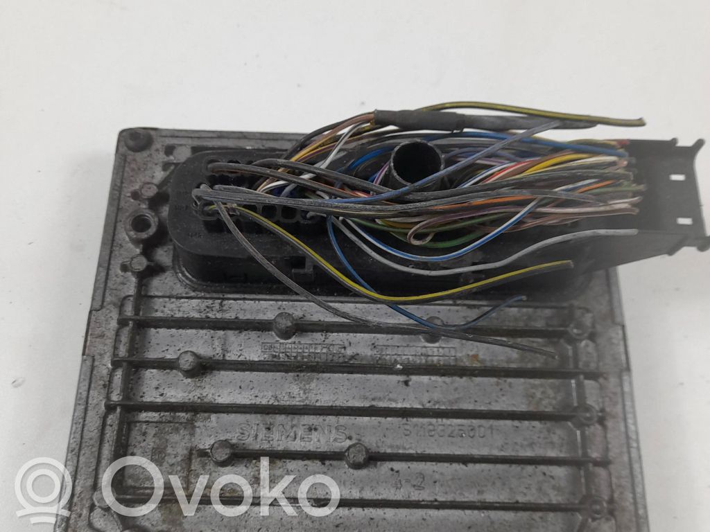 Ford Focus Engine control unit/module 