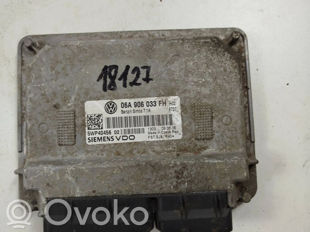 Seat Altea Engine control unit/module 