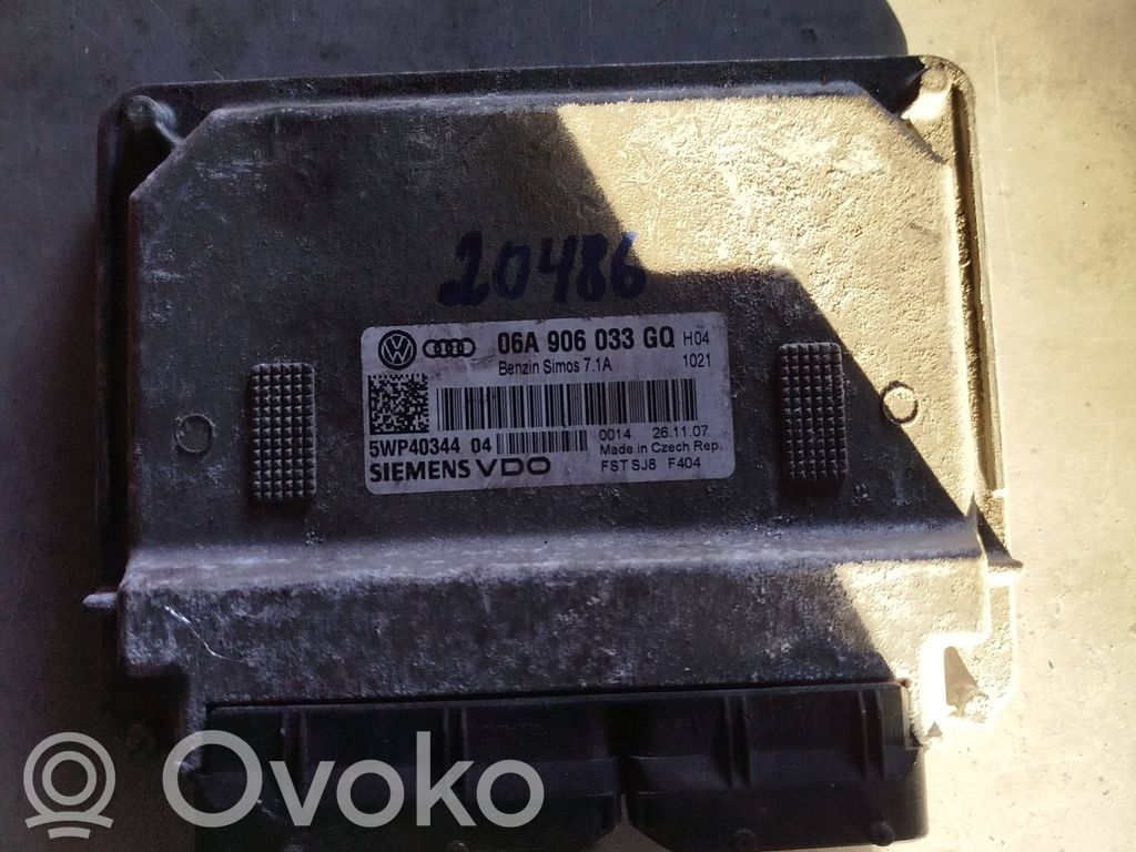 Skoda Octavia Mk2 (1Z) Engine control unit/module 
