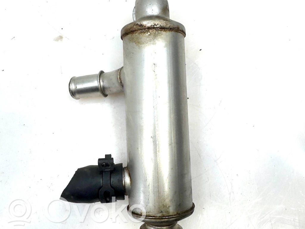 Citroen C4 I EGR aušintuvas 