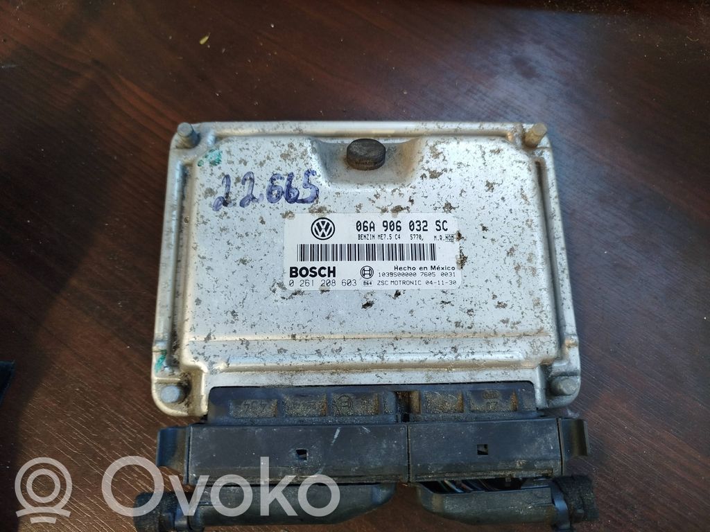 Volkswagen New Beetle Engine control unit/module 