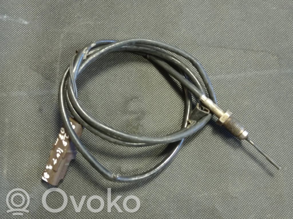 Peugeot 407 Exhaust gas temperature sensor 