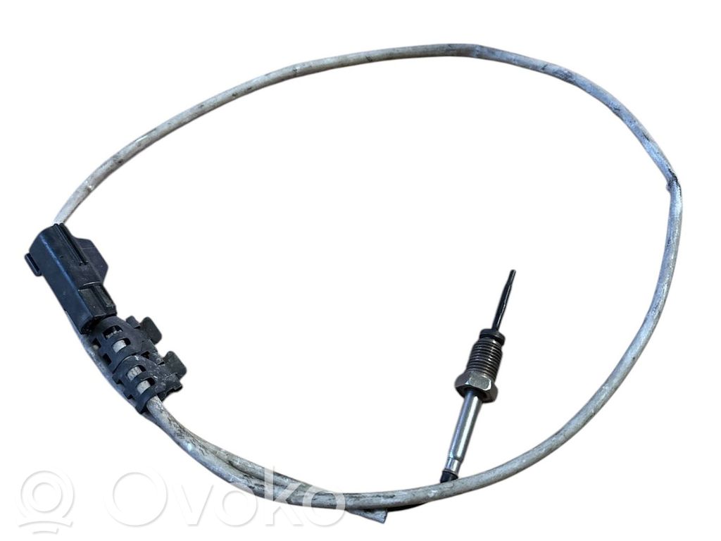 Jaguar XF X250 Exhaust gas temperature sensor 