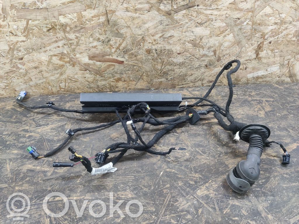 Citroen C6 Cableado de puerta delantera 