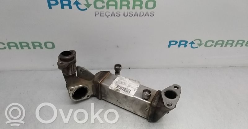 EGR valve cooler   780518902