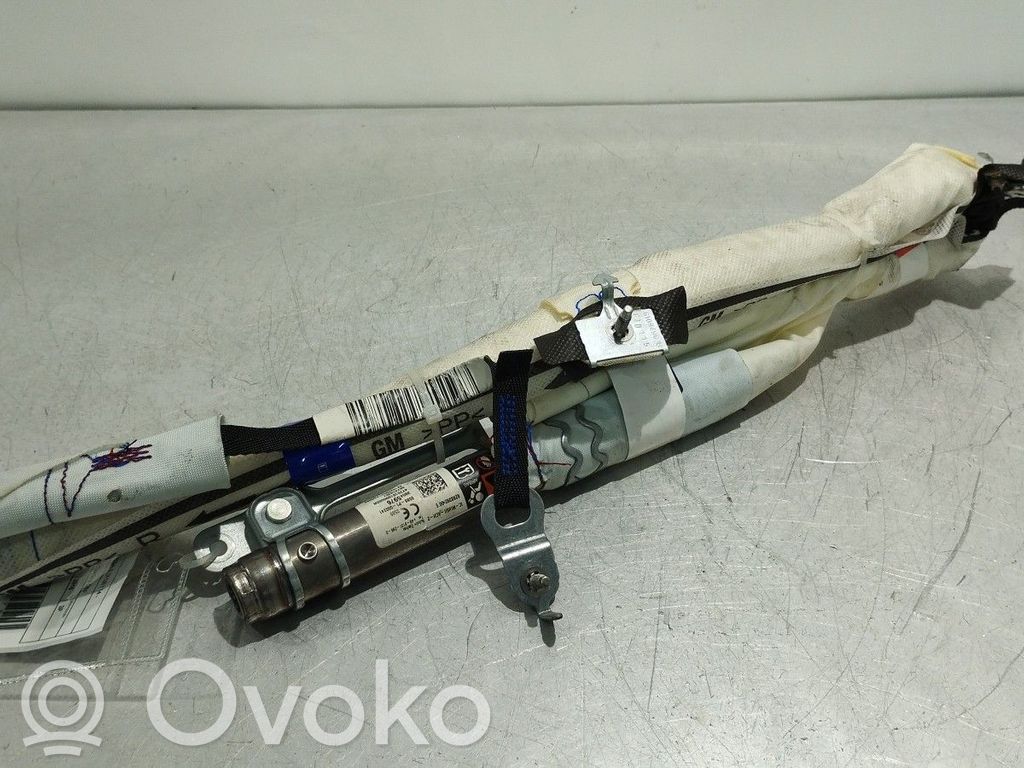 Airbag de toit   39045976