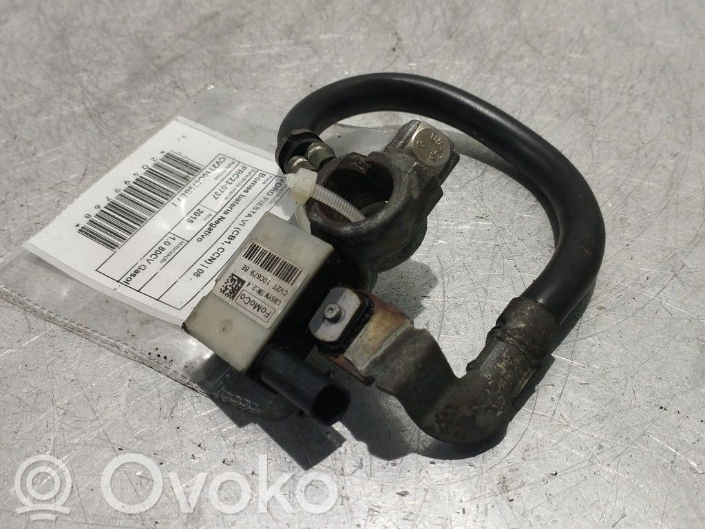 Negative earth cable (battery)   CV2T10C679BE
