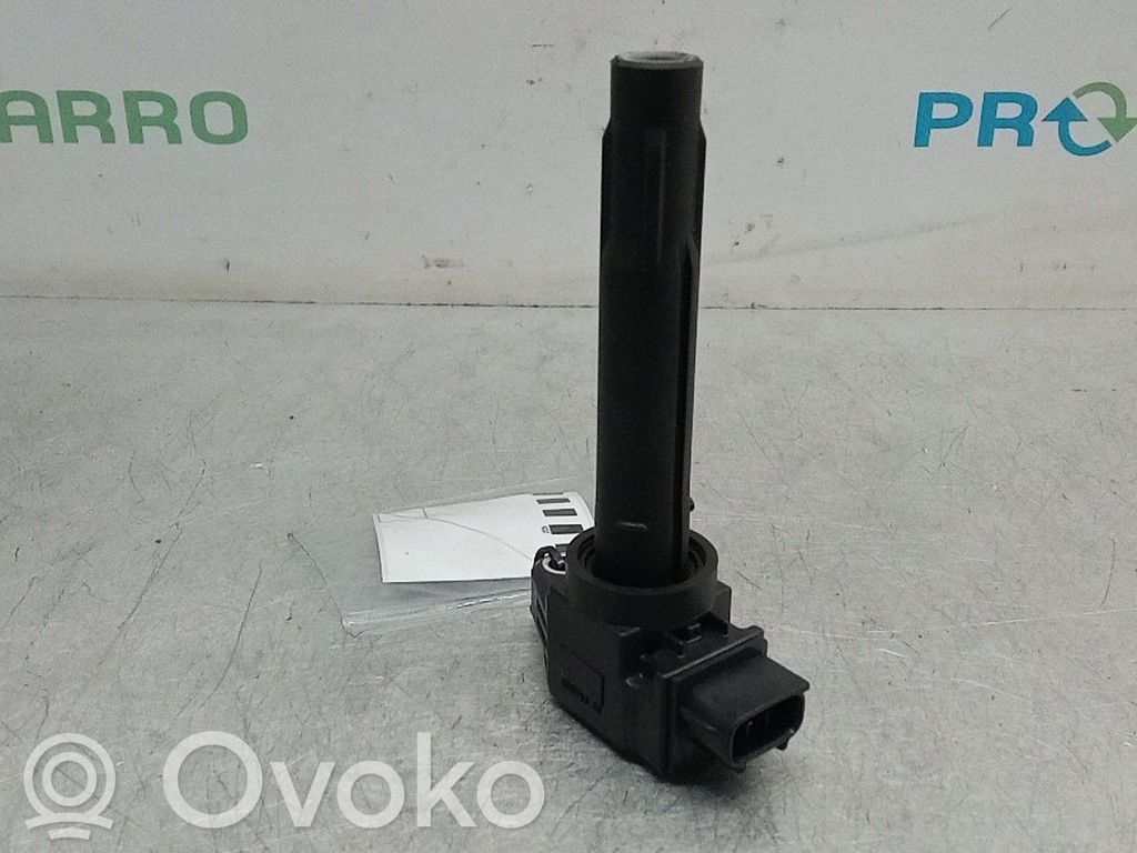 Aukštos įtampos ritė "babyna"   FK0508
