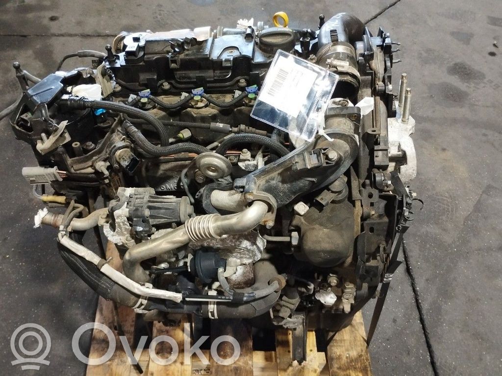 Ford Focus Motor 