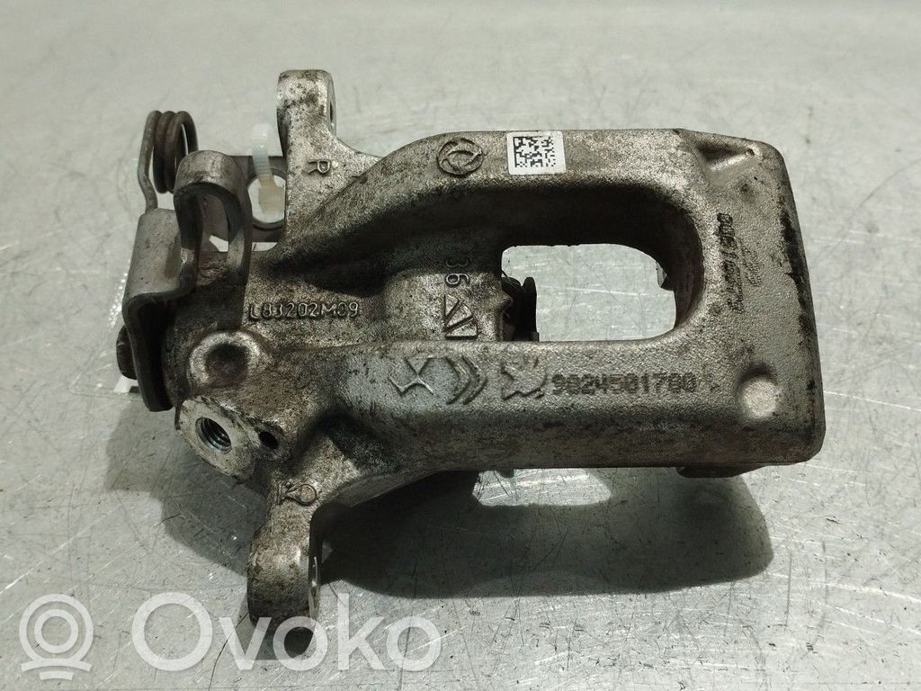 Takajarrusatula   9824501780