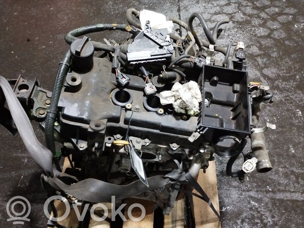 Motor   CFB