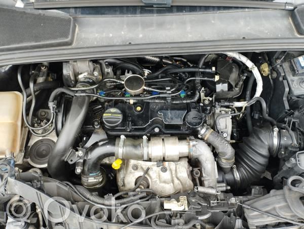 Ford Focus Motor 