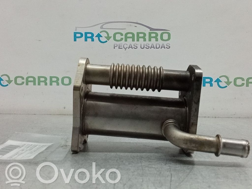 Renault Clio IV Valvola di raffreddamento EGR