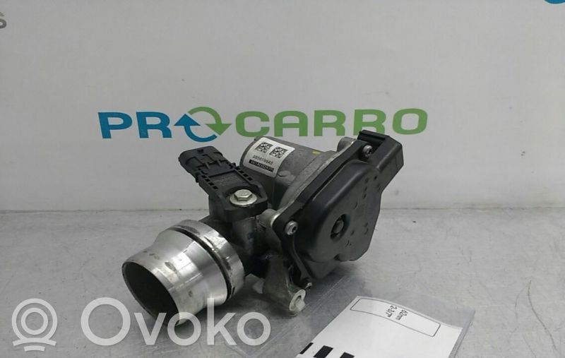 Przepustnica elektryczna   161A09287R,285619543