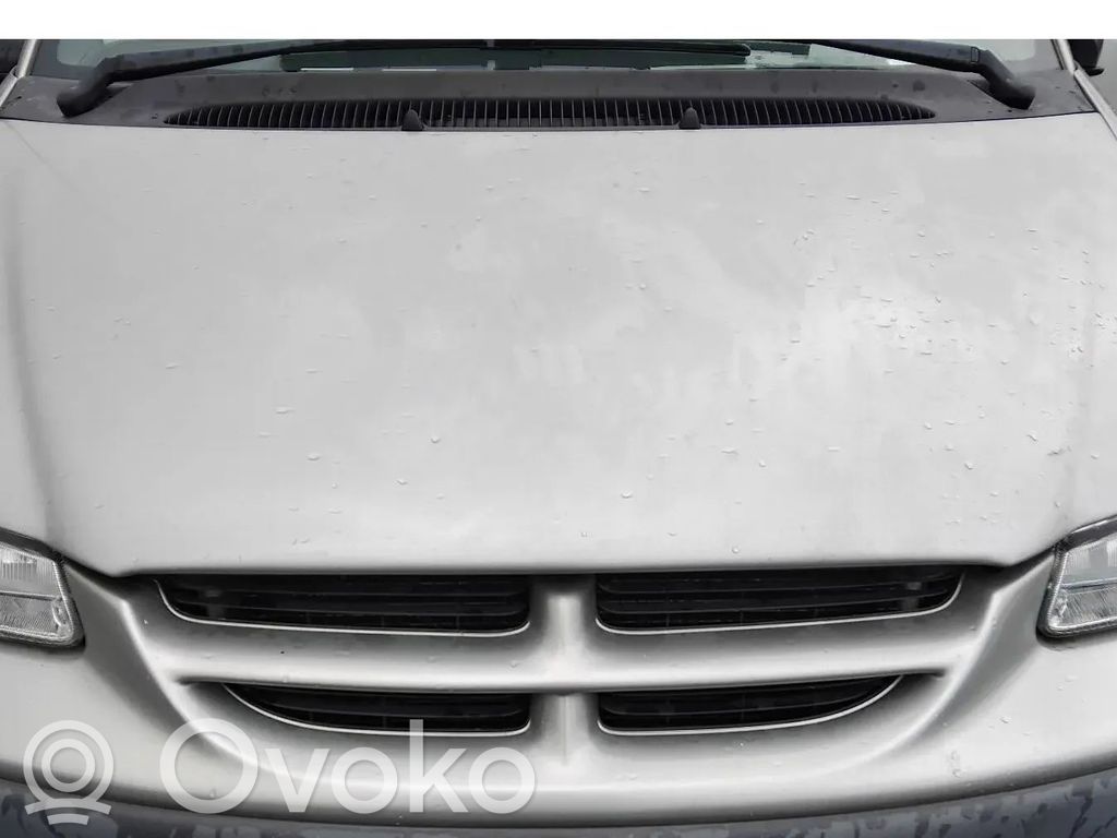 Capotă motor