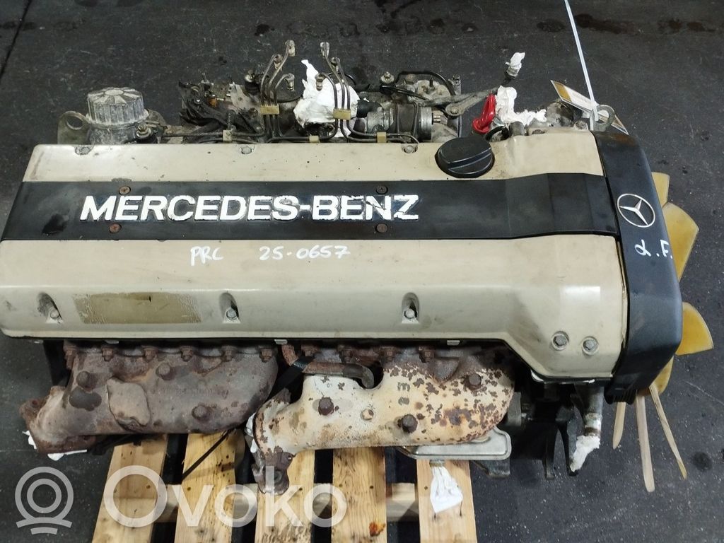 Mercedes-Benz E W124 Motor 