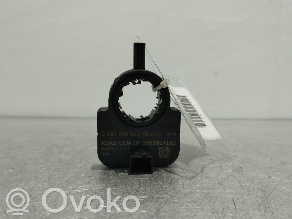 Vairo padėties (kampo) daviklis   9658684180,0265005517