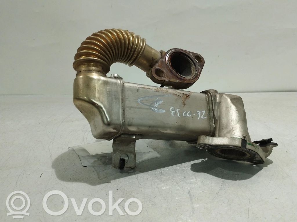 Nissan Qashqai Refrigerador de la válvula EGR