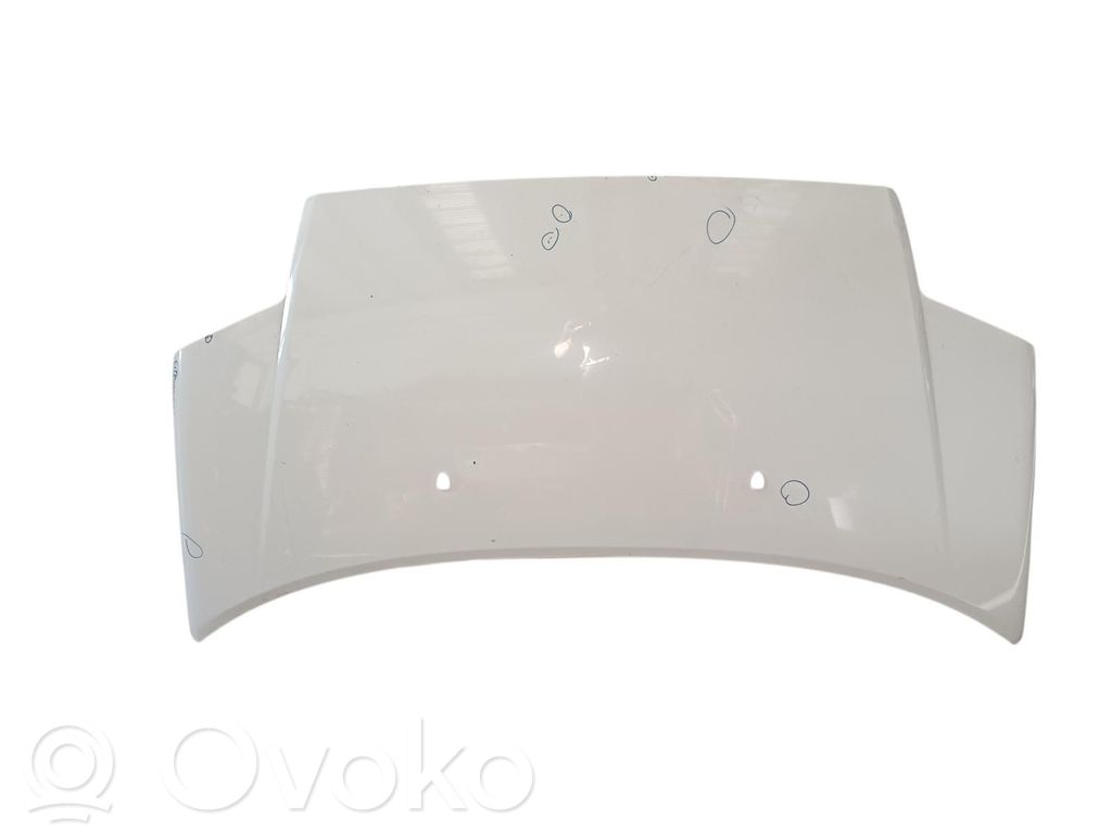 Motorhaube   7901K2,7901K2