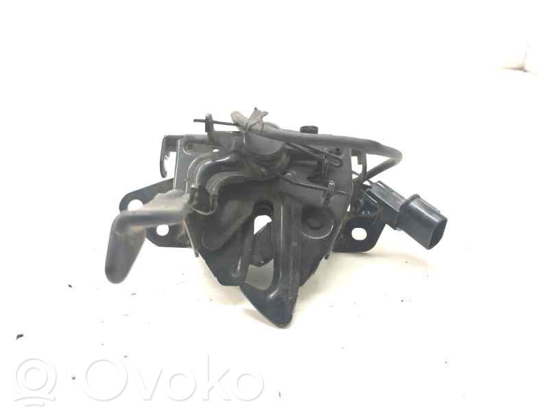 Tie down hook / loop