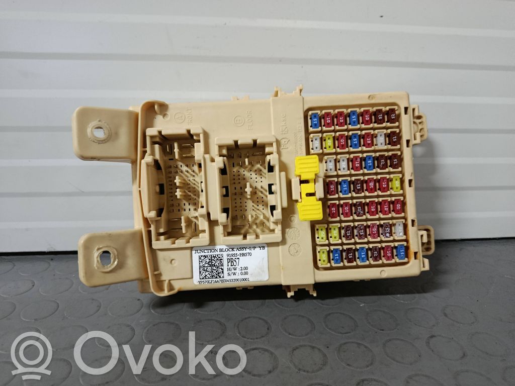 Fuse module   91955H8570