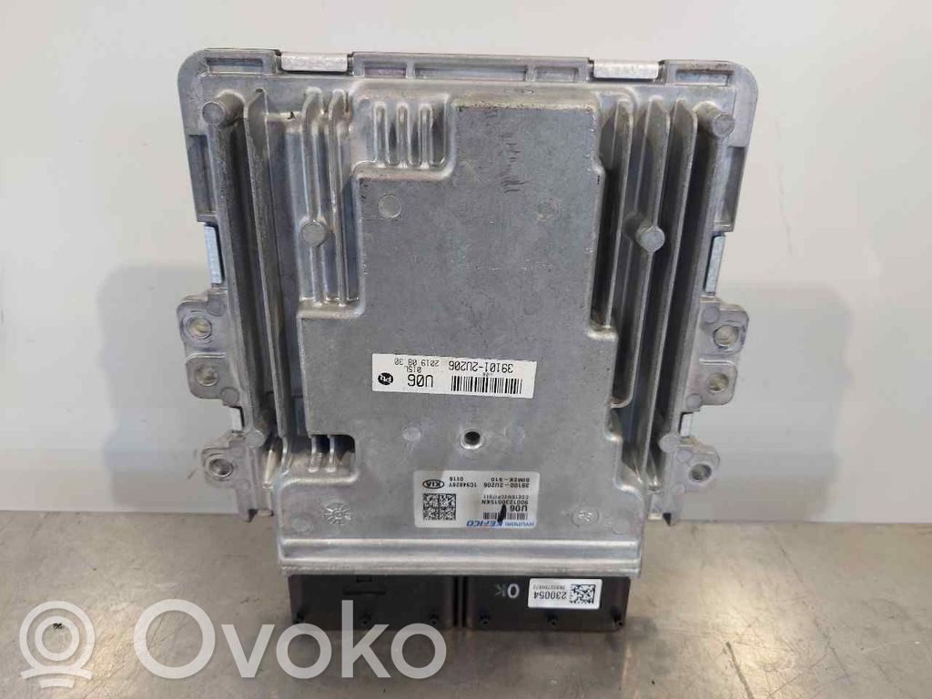 Engine control unit/module   391002U206