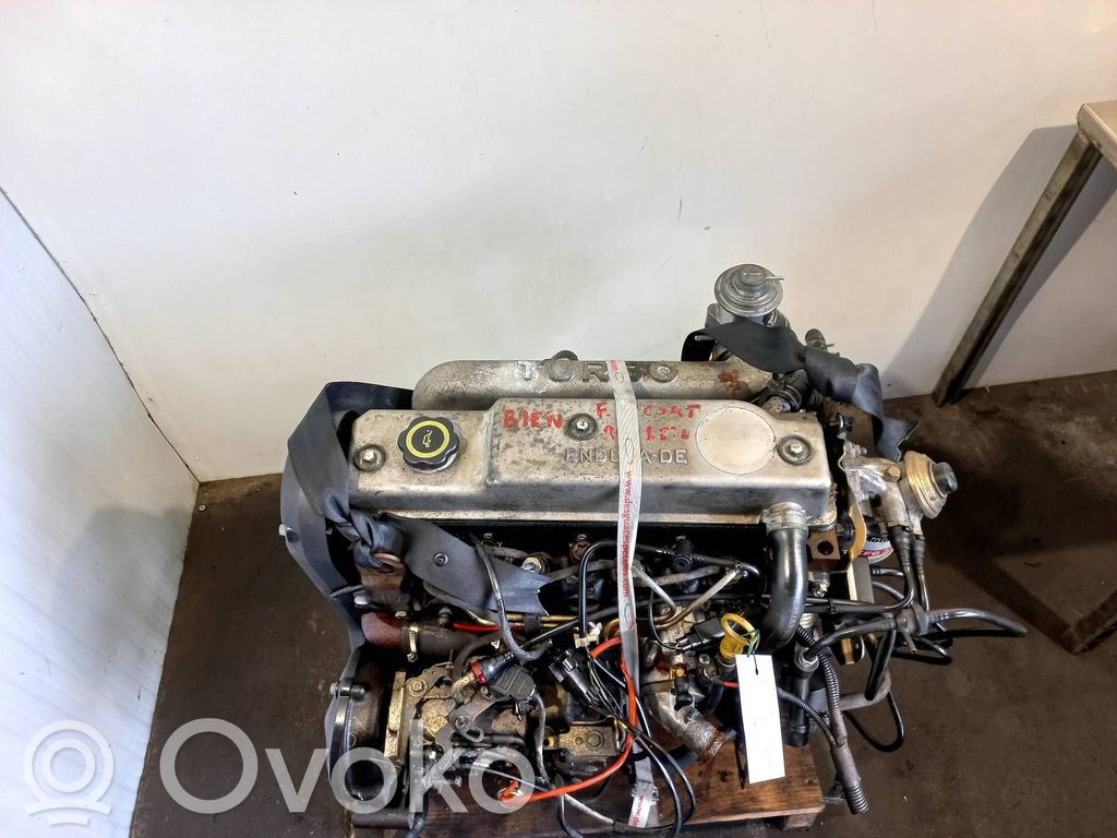 Ford Escort Variklis 
