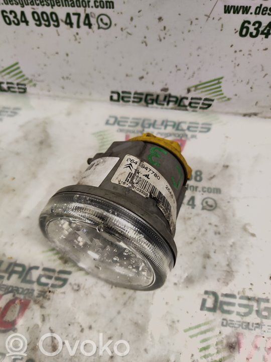 Luz de niebla delantera   9648947780,308800