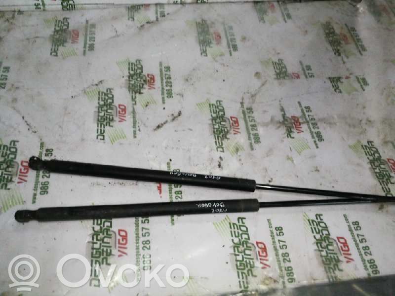 KIA Carnival Set acționare hidraulică hayon 